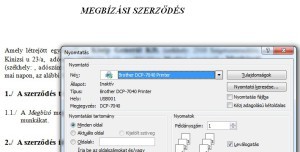 dev_word_print