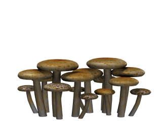 Kep 3. https://pixabay.com/