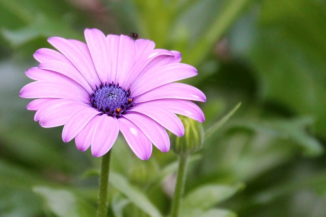 Photo 1. https://pixabay.com/
