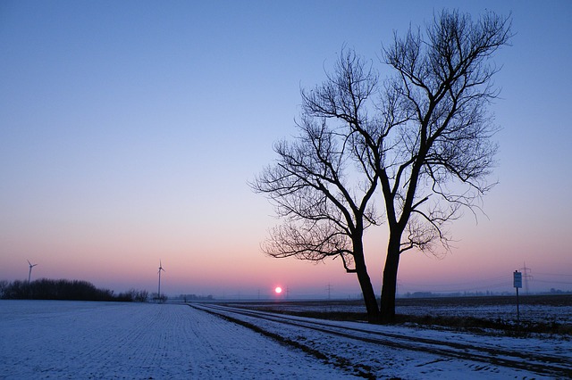 Photo 5. https://pixabay.com/